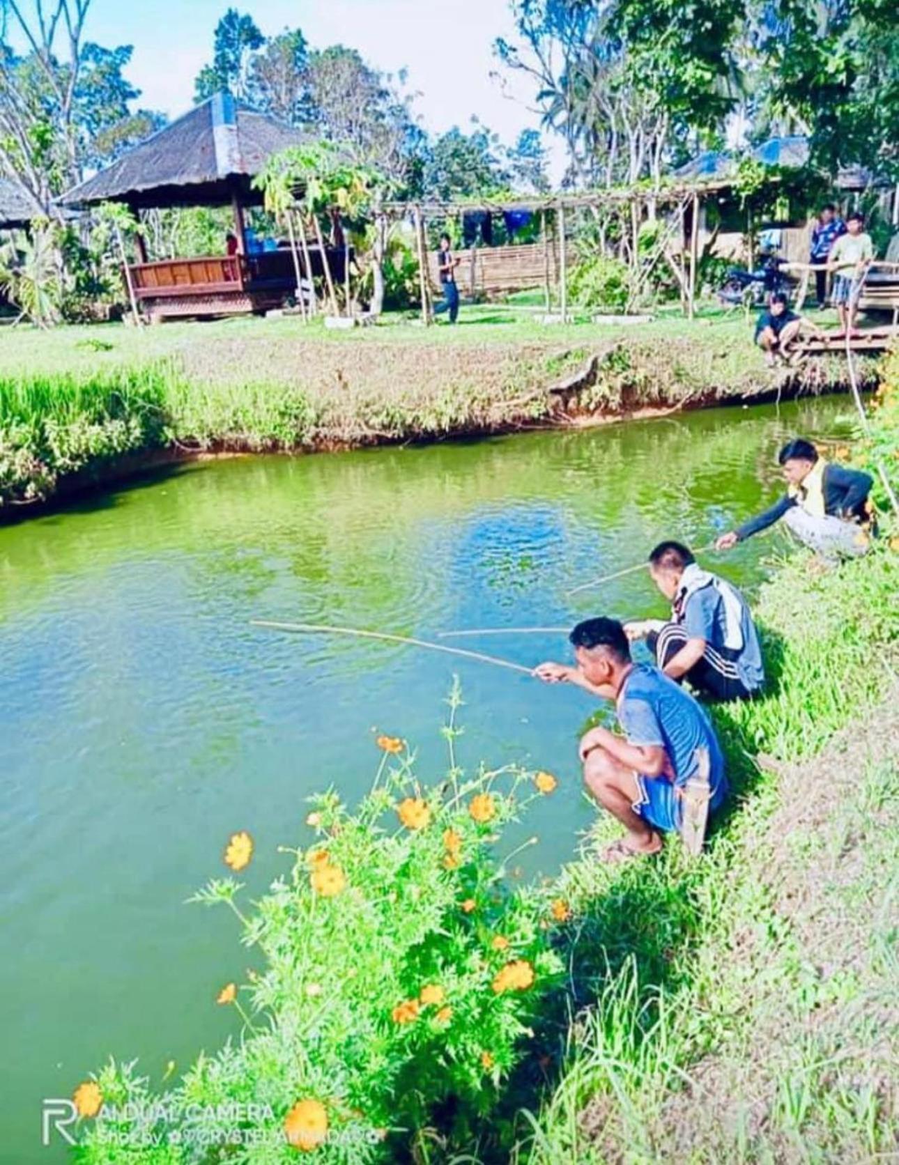 Camelo Farm Hotel Bilar Luaran gambar